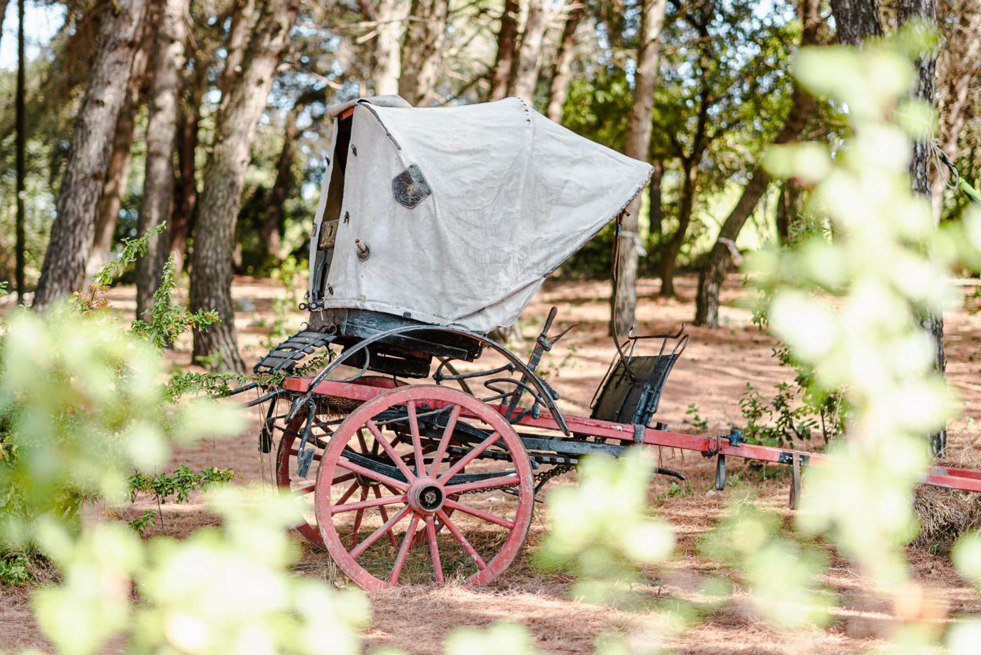 Ad Un Passo Da Cisternino - Trulli Con Foresta, Bici E Barbecue Exterior photo