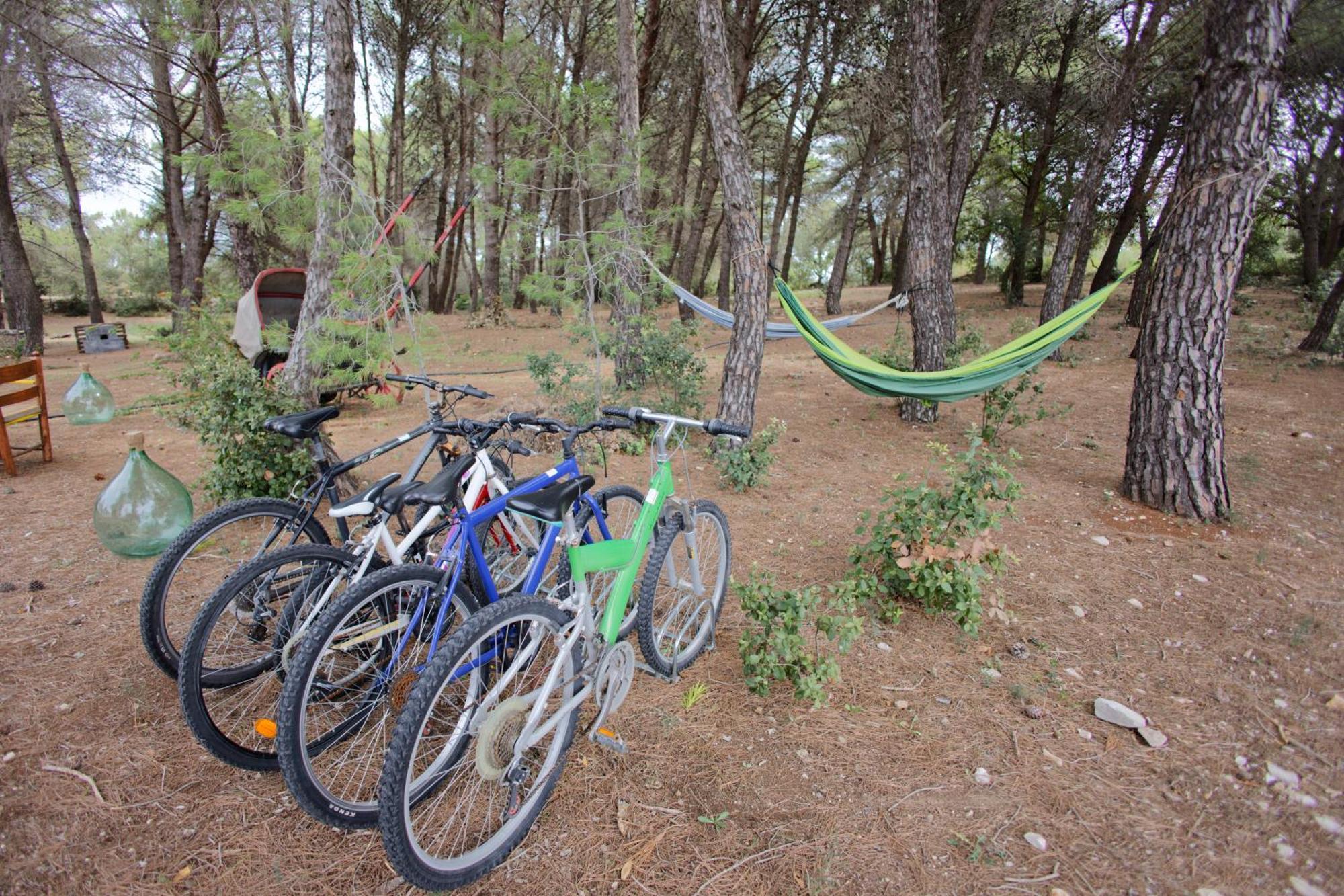 Ad Un Passo Da Cisternino - Trulli Con Foresta, Bici E Barbecue Exterior photo